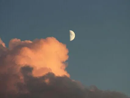 The Love Within Us All