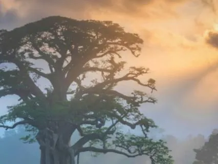 The Loving Choice (Live Improv Song)