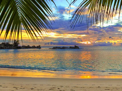 The Loving Kindness Meditation