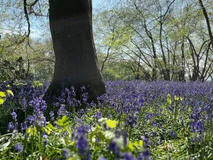The Lucid Dreaming Elevator For Deep Lucid Dreaming