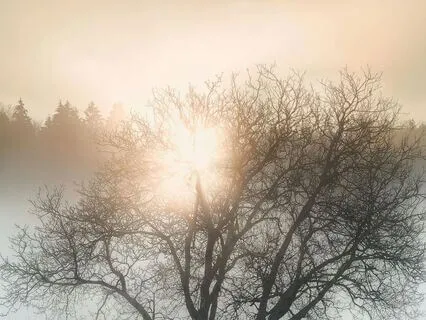 The Luminous Morning