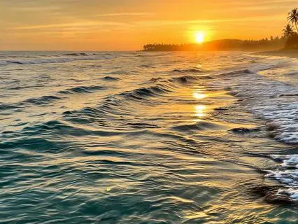 The Luminous Morning