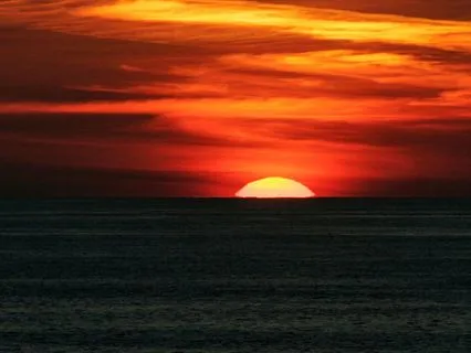 The Luna Moth: Messenger Of Transformation And Light