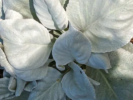 The Magic Around You