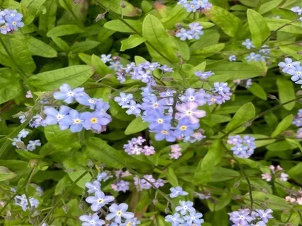 The Magic Blanket Of Stars – Bedtime Meditation For Children