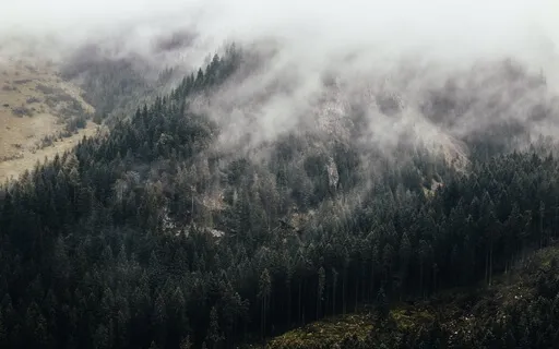 The Magic Forest | 432Hz | Ambient