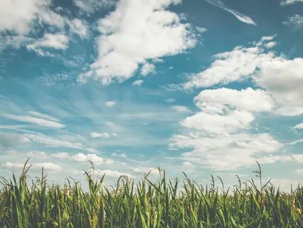 The Magic In Your Pen: Try This Now!