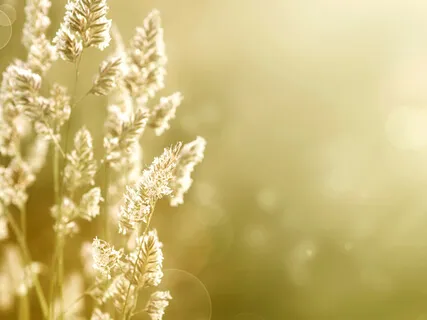 The Magic Of Being Open To Something More 