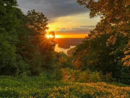 Gratitude Practice ~ Expand Positivity And Inner Abundance