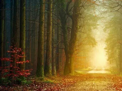 The Magic Of Mindfulness