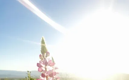 The Magic Of Self Realization - I Am A Star