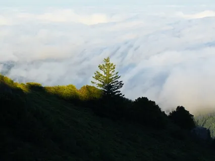 The Magic Of Valorio