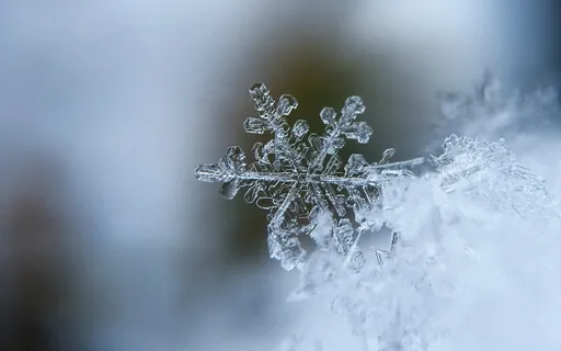 The Magic Of Winter | Live Recording