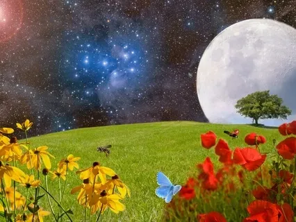 The Magic Seeds From Nanna