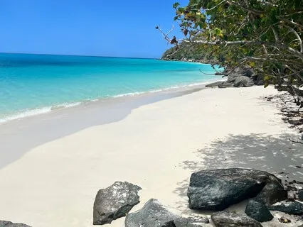 The Magical Beach Journey