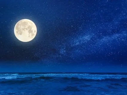 The Magical Beach: Long Bedtime Sleep Story