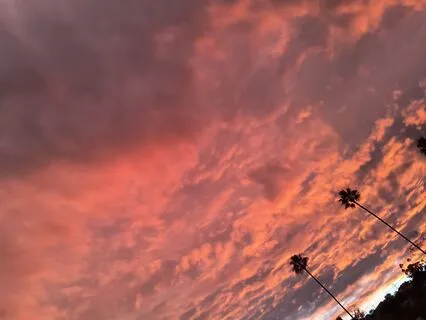 The Magical December Holiday Season