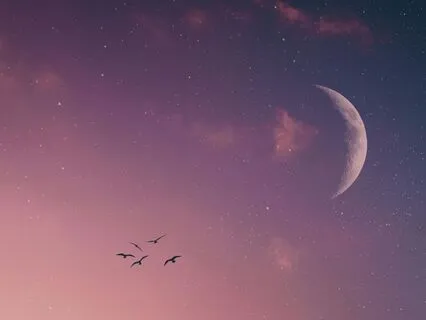 Good Night Dreamy Bells