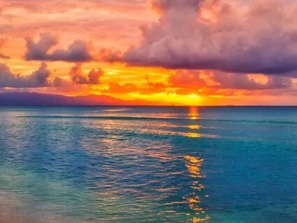 The Magical Guardian Of Knowledge: Bedtime Tale