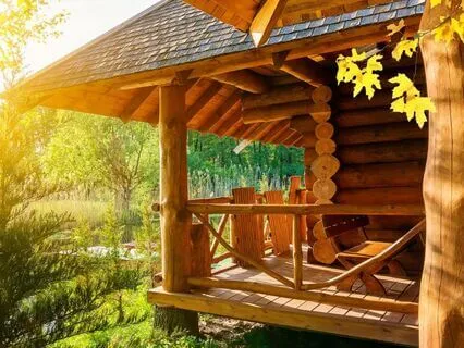 The Magical Mongoose Meetup: Bedtime Tale