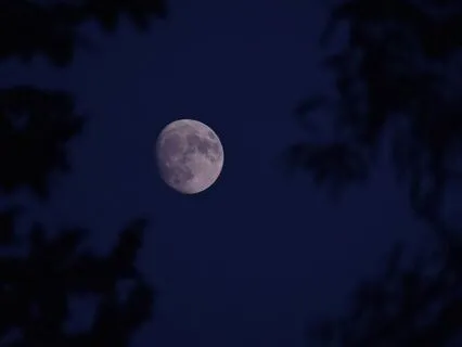 The Magical Music Cottage: Sleepy Bedtime Tale