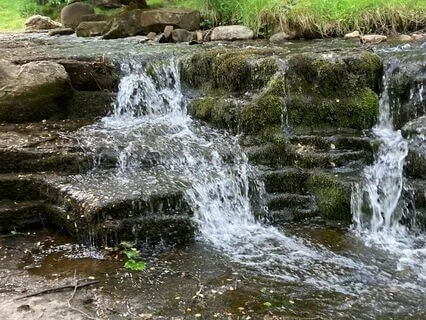 The Magician's Gifts