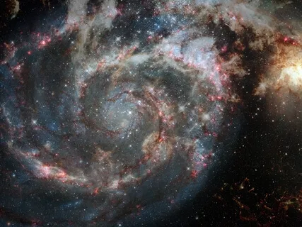 The Magnificent Universe