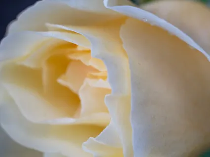 The Maiden Meditation