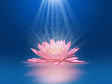 The Man With Four Wives