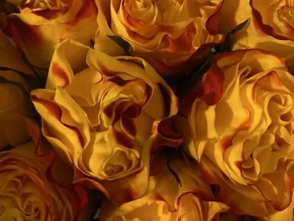 The Manipura At Uluru