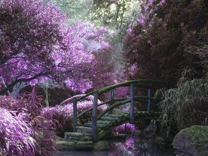 The Many Lives Of Catherine Emma, A Lovely Fairy