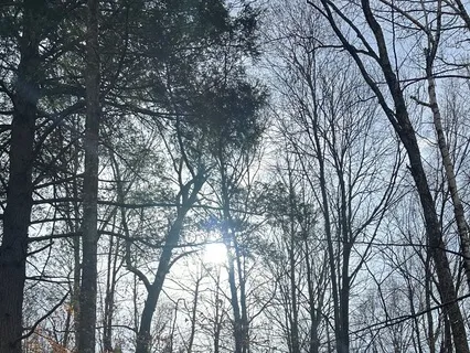 The Many Shapes Of Purpose