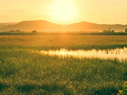 Forgive & Heal: A Meditation For Inner Peace