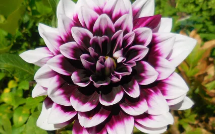 The Matrix And Reality And How It Applies To Us 