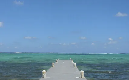 The Matrix Part 3 & Insomnia Help 