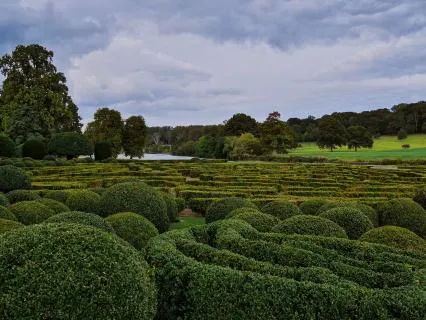 The Maze Of Lucid Dreams