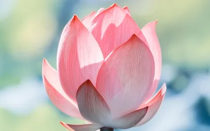 The Me Depends On An Illusion Of Togetherness