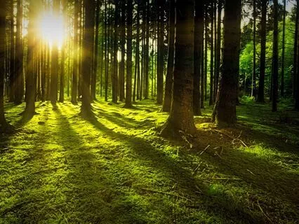 The Meaning Of A Green Aura