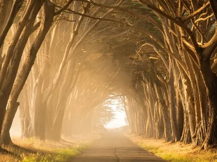 The Meaning Of Life - (Instrumental)