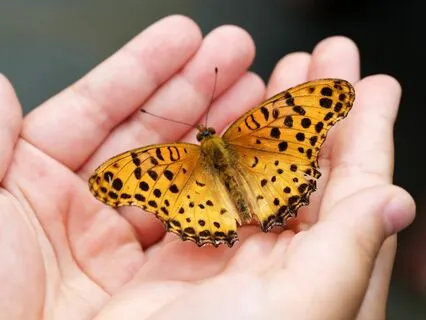 The Meaning Of Oneness