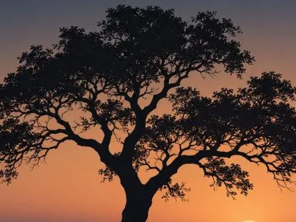 The Meaning Tree: Regulation For Neurodivergent Bodies