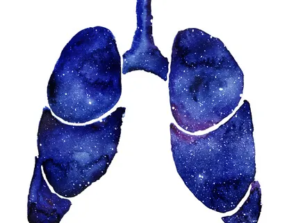 The Mechanics Of Breathing