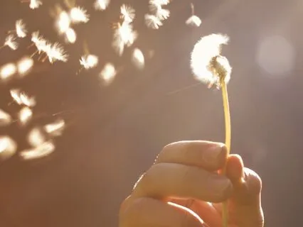 The Mechanism Of Desire | Deep Spiritual Insights