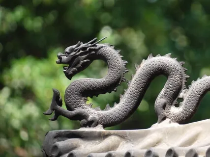 The Meditation Of The Dragon