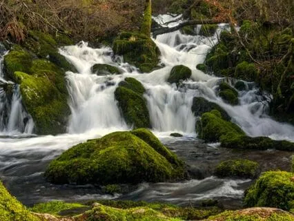 The Meditation of Your Dreams