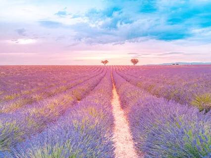 The Mental Soul Of Eternity