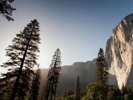 The Mentalization Stack