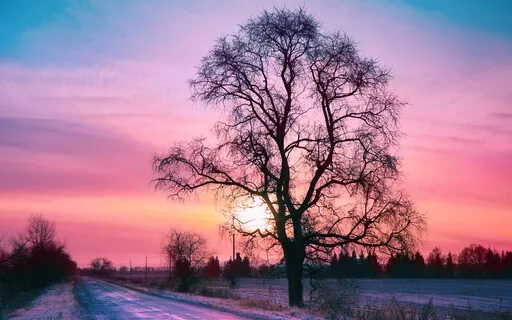 The Merlin Transmission: Knowing More Of Your Multidimensional Gifted Self