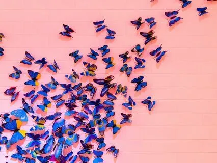 The Messy Process Of Learning To Walk The Talk: Q&A