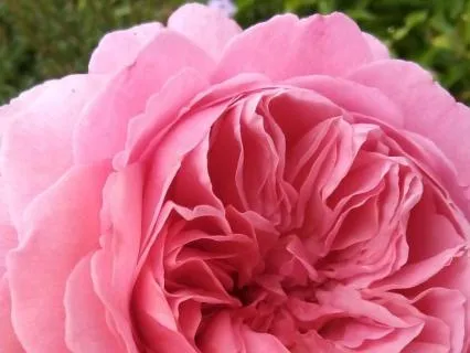 The Metaphysical Easter